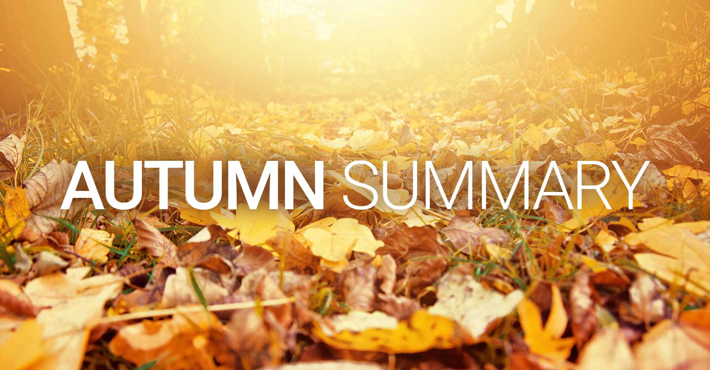 Autumn Summary